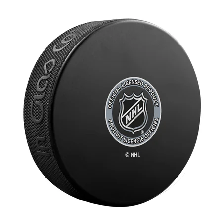 Anaheim Ducks 2024 - Current Primary Logo Unsigned Puck